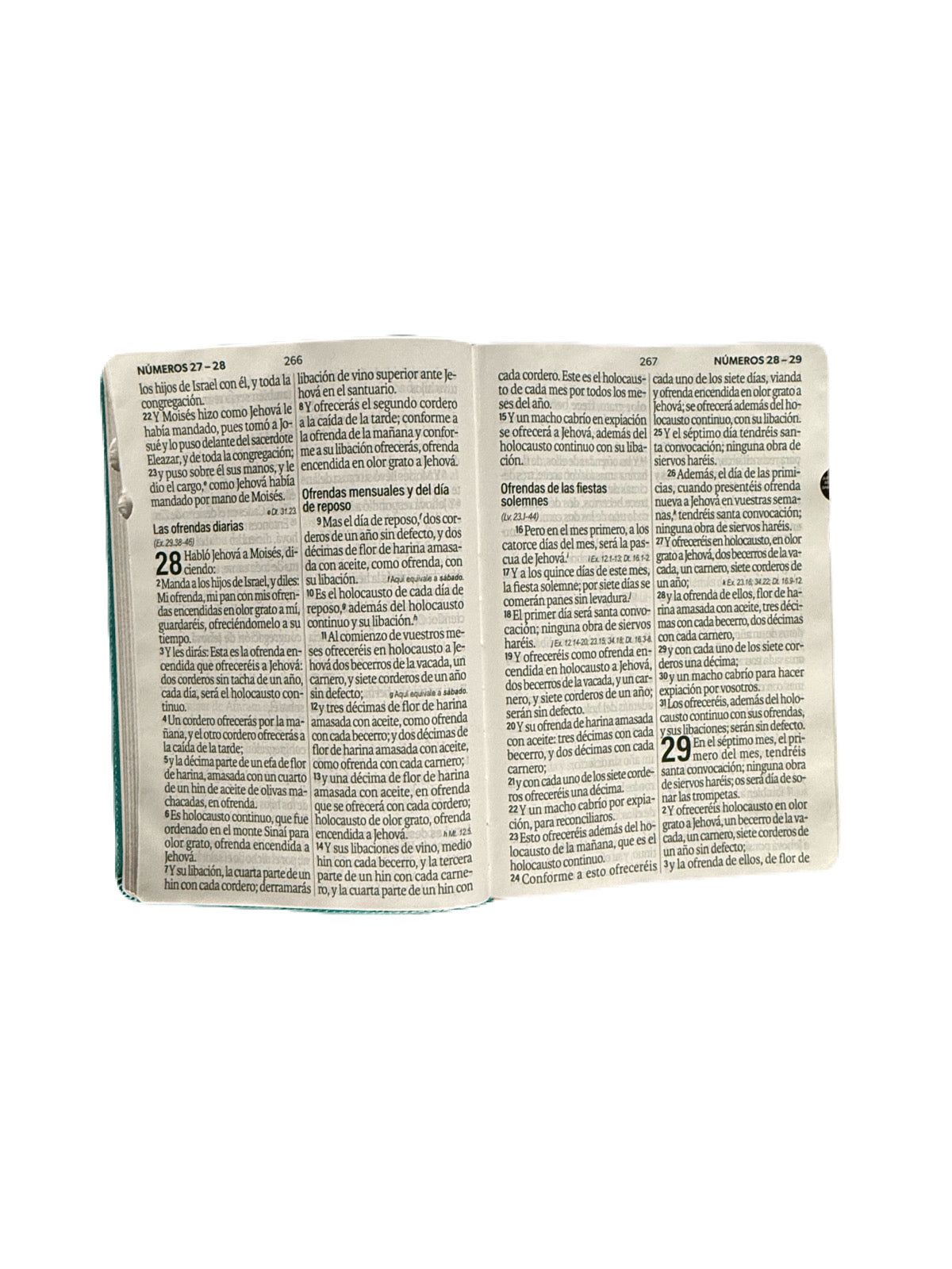Biblia Letra Súper Gigante 19Pts Con Index Turquesa Floral RV1960