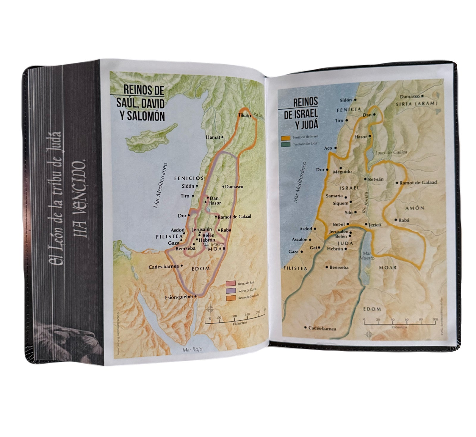 Biblia Letra Súper Gigante 19pts León De Judá