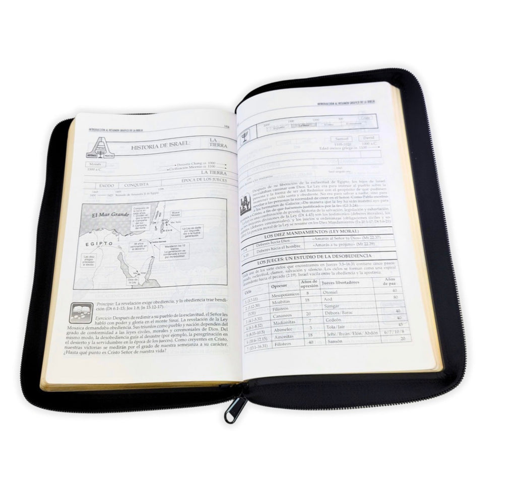 Biblia con Cierre Letra Grande RV1960, imit. piel, manual negro