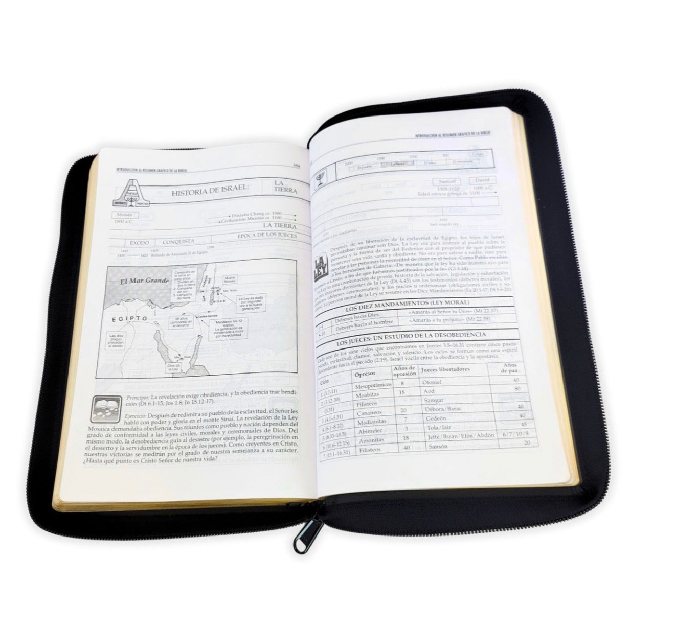 Biblia con Cierre Letra Grande RV1960, imit. piel, manual negro