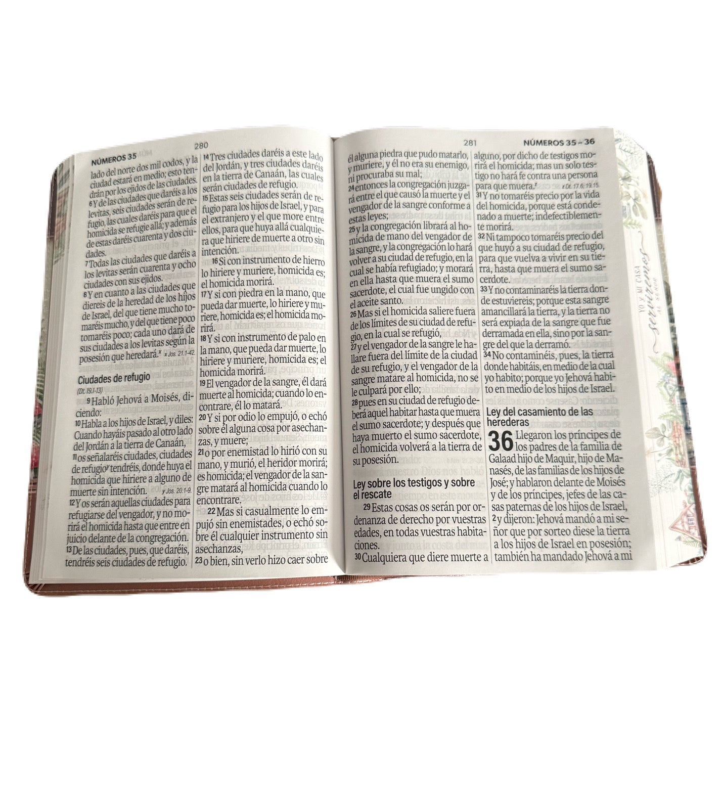 Bibia Letra Super Gigante 19pts Yo Y Mi Casa RV1960