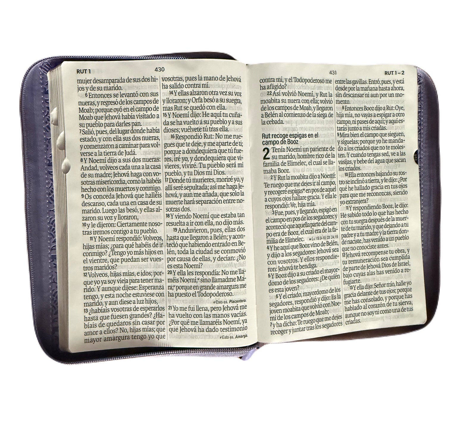 Biblia Letra Súper Gigante 19Pts Con Index Lila/Café Flores Grabadas RV1960