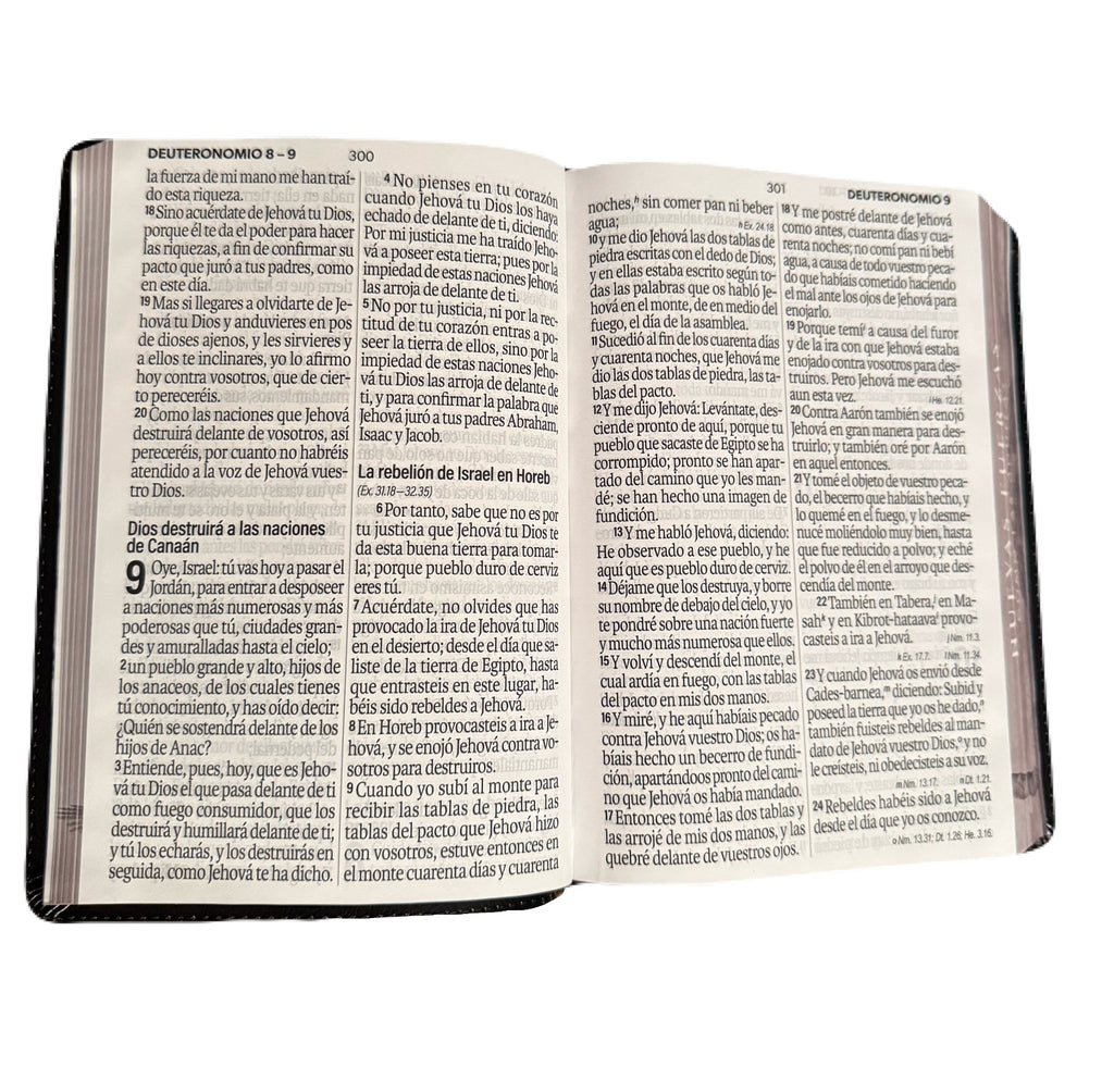 Biblia Letra Súper Gigante 19pts Nuevas Fuerzas