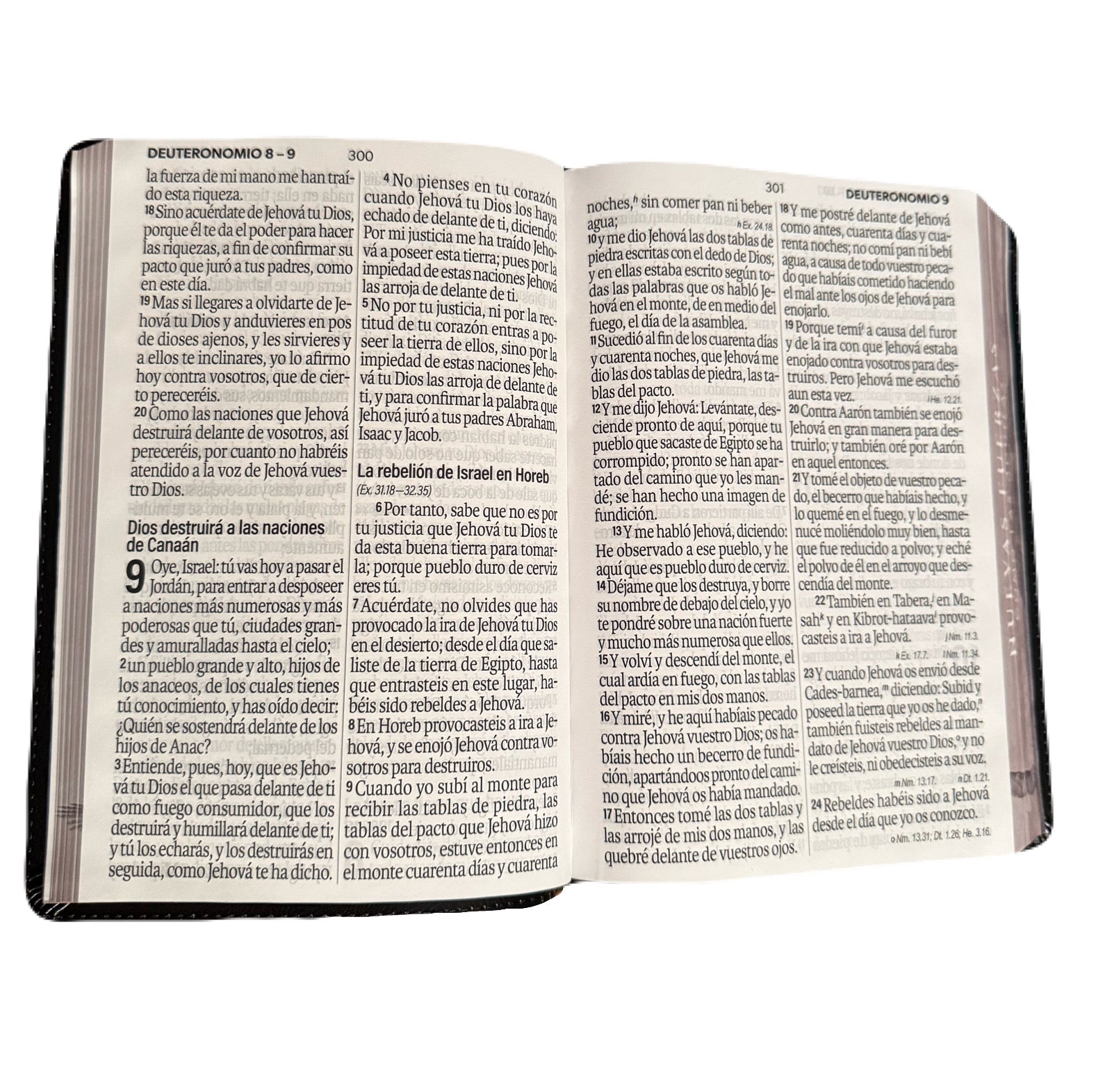 Biblia Letra Súper Gigante 19pts Nuevas Fuerzas