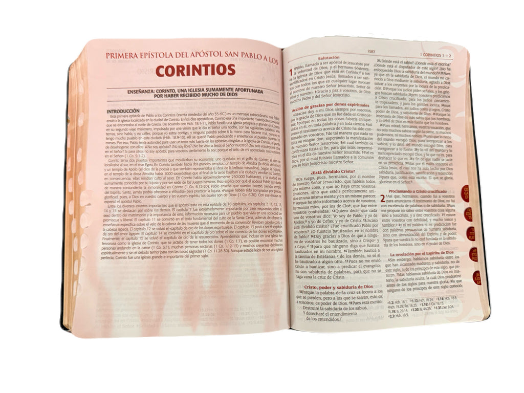 Biblia Para La Predicación Del Avivamiento Negro RV1960