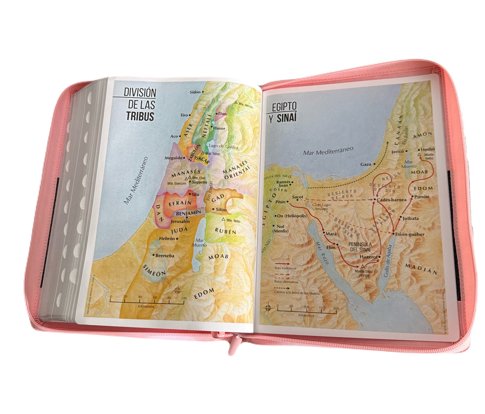 Biblias Letra Super Gigante 19Pts Con Cierre/Indice Classic Rosa/Cafe RV1960