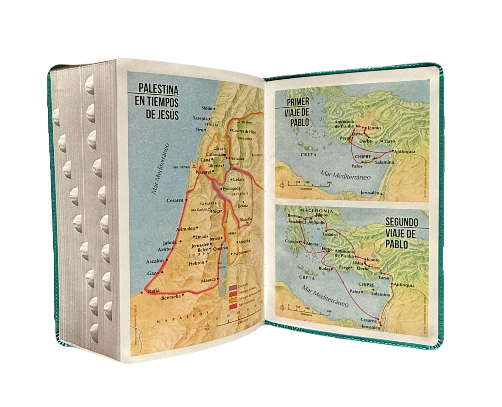 Biblia Letra Súper Gigante 19Pts Con Index Turquesa Floral RV1960