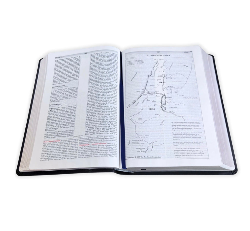 Biblia de Estudio de la Vida Plena RV1960, Imitación piel negra