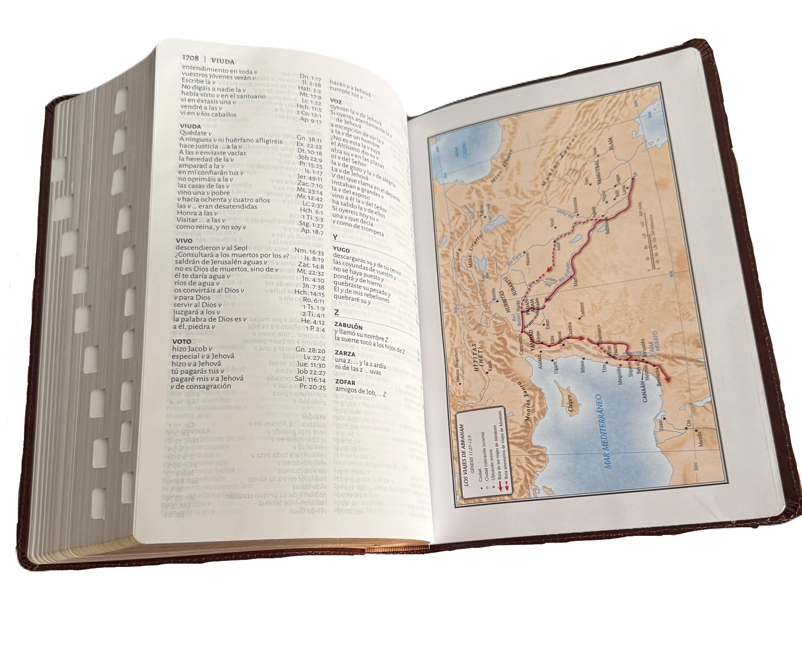 Biblia Letra Supergigante 16 Pts Con Indice, Marron Piel Fabricada RV1960