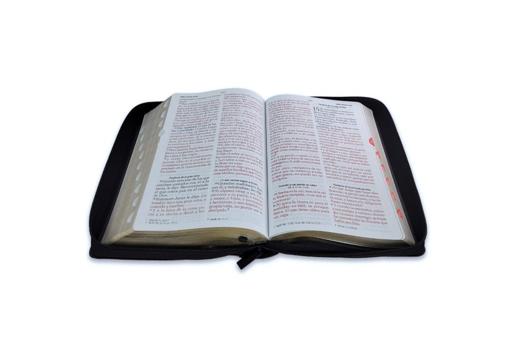 Biblia con Cierre Letra Gigante Manual 14 puntos RV1960 imit piel león y cordero negro con índice