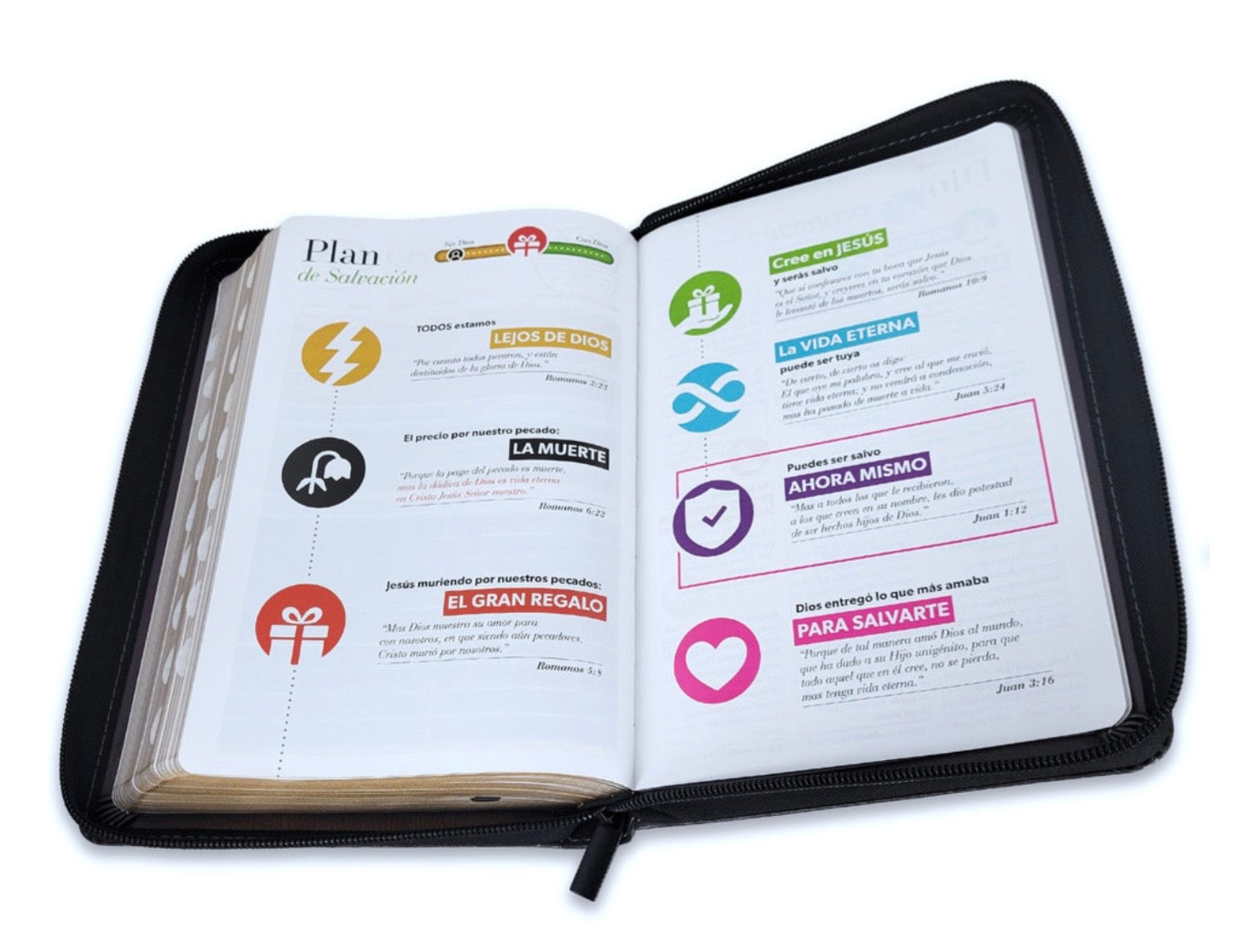 Biblia Letra Grande 12pts Con Cierre/Index RV1960 Vino Arca De La Alianza