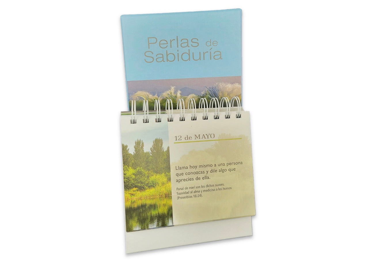 Calendario de Escritorio: Perlas de sabiduría vol. 2, 365 lecturas inspiradoras - Jessie Richards, tapa espiral