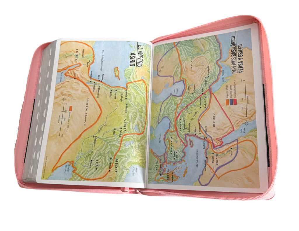 Biblia Letra Super Gigante 19Pt Rosa-Cafe Con Cierre/Indice RV1960