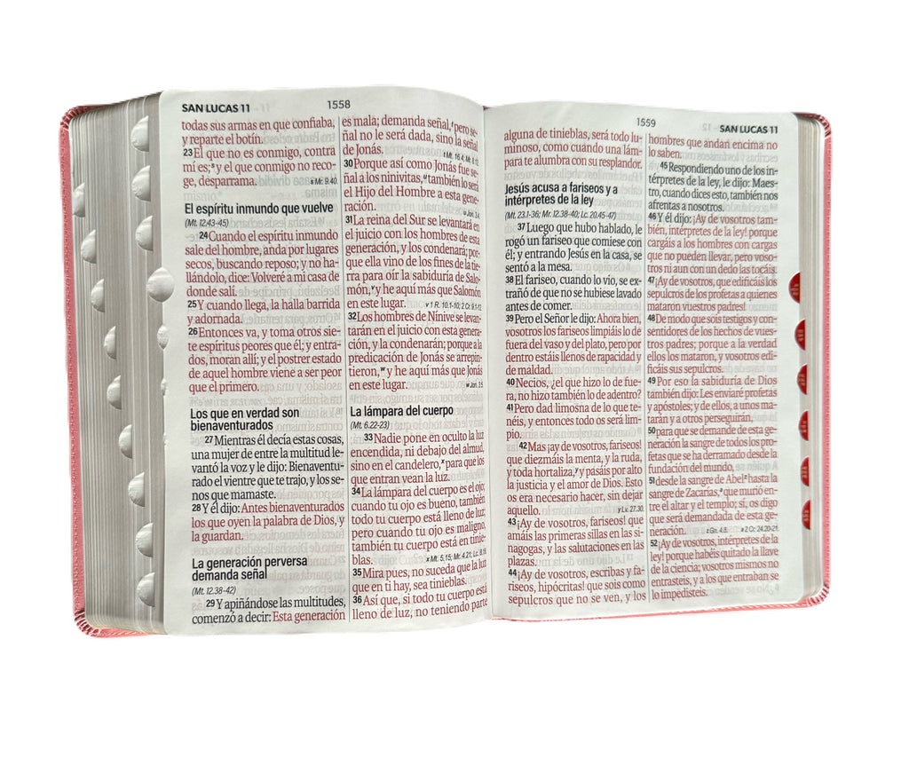 Biblia Letra Súper Gigante 19Pts Con Index Rosa Floral RV1960
