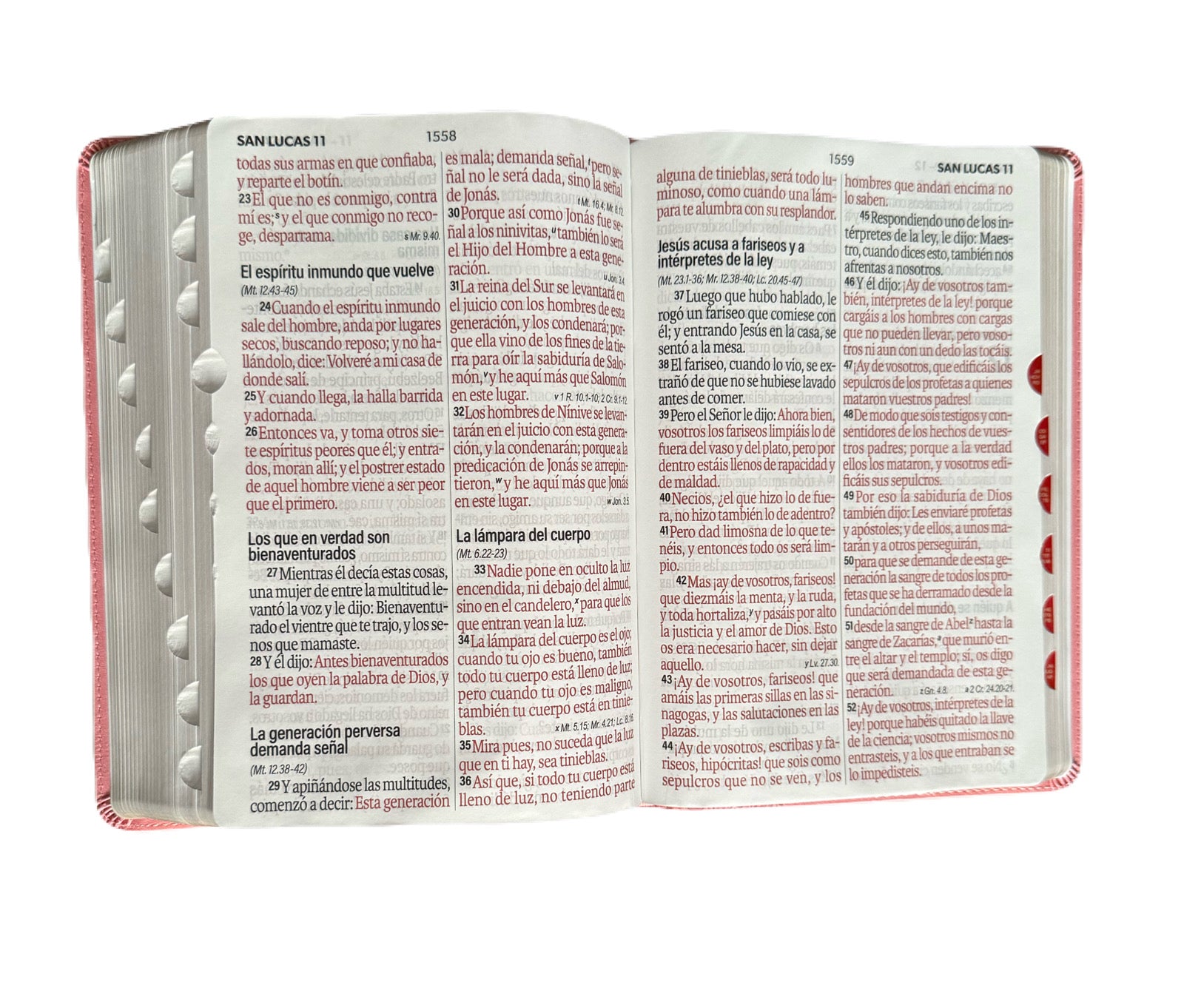 Biblia Letra Súper Gigante 19Pts Con Index Rosa Floral RV1960