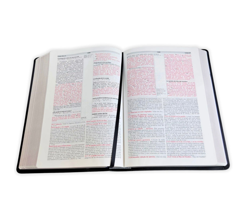 Biblia de Estudio de la Vida Plena RV1960, Imitación piel negra