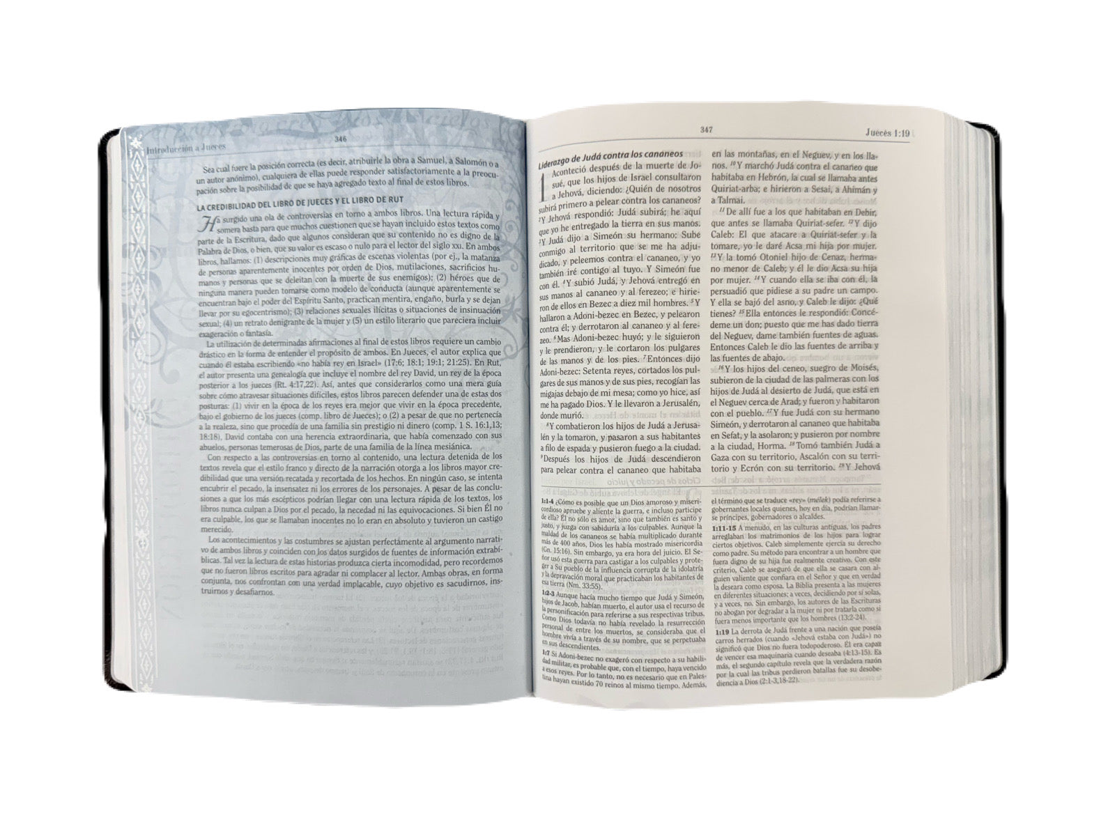 Biblia De Estudio De Apologética RV 1960