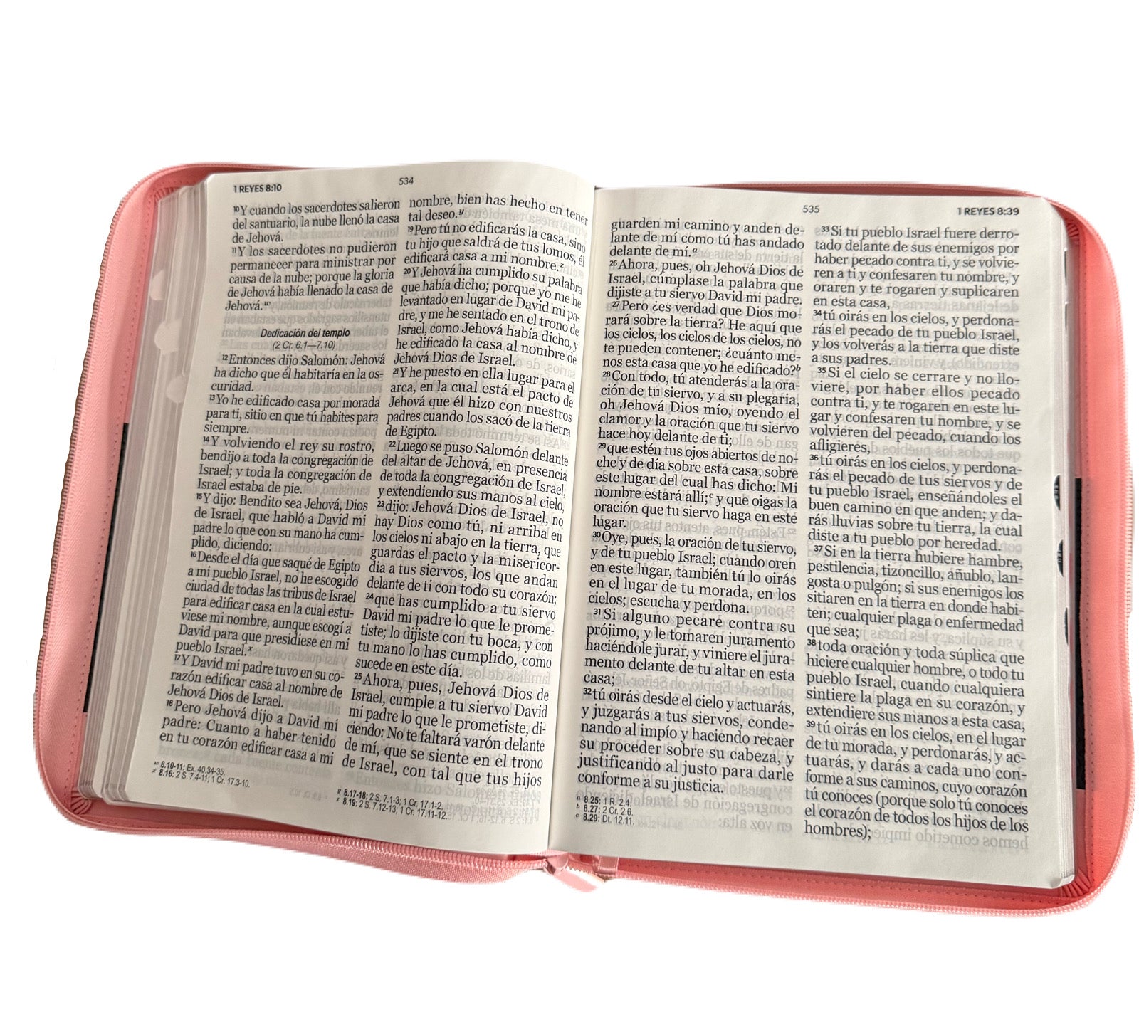 Biblias Letra Super Gigante 19Pts Con Cierre/Indice Classic Rosa/Cafe RV1960