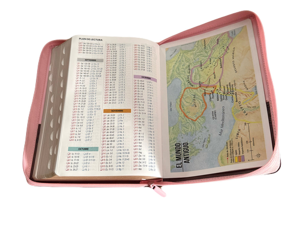 Biblia Letra Super Gigante 19Pt Rosa-Cafe Con Cierre/Indice RV1960