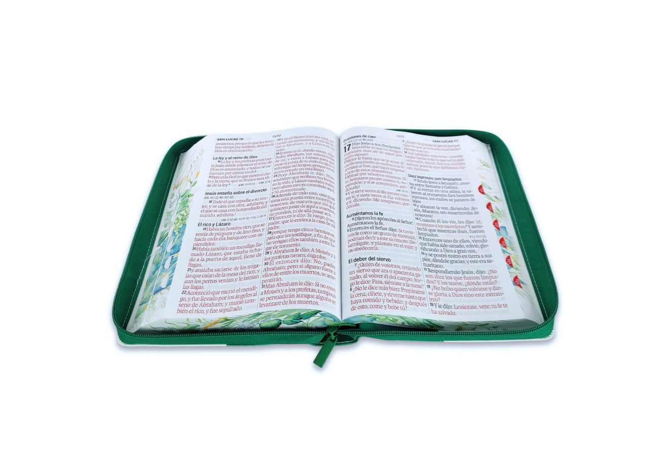 Biblia con Cierre Letra Súper Gigante 19 puntos Mediana RV1960 imit piel floral mariposa verde con índice y canto floral