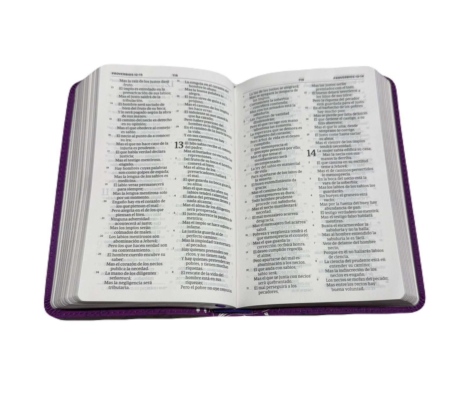 Biblia Edición Mis Quince RV1960 Amatista Con Mariposas Símil Piel