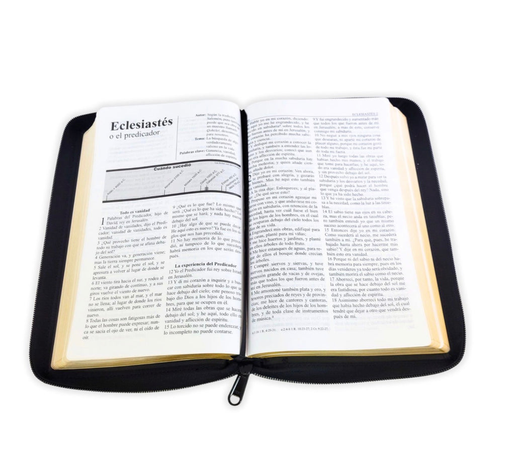 Biblia con Cierre Letra Grande RV1960, imit. piel, manual negro