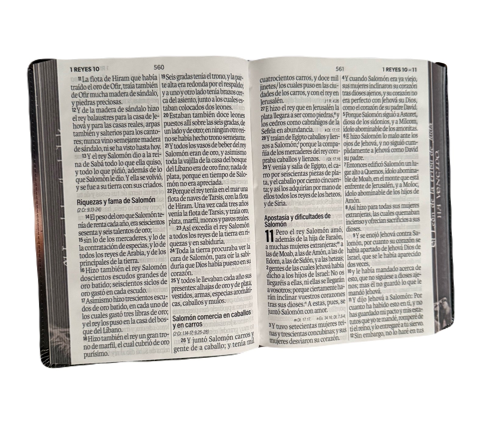 Biblia Letra Súper Gigante 19pts León De Judá