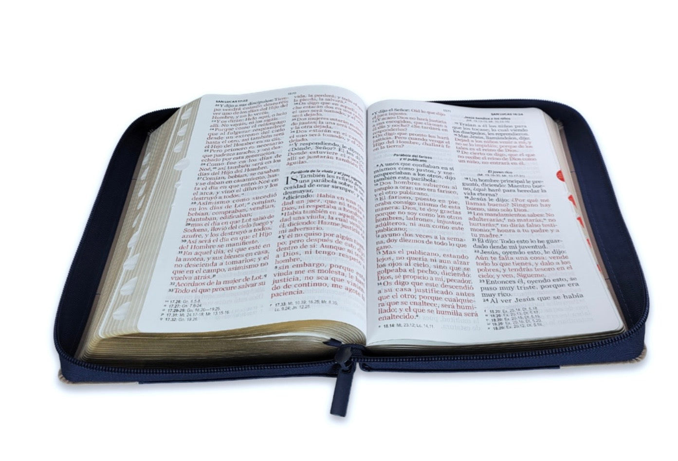 Biblia Letra Gigante 14pts Con Cierre/Index RV1960 Azul Navy/ Crema
