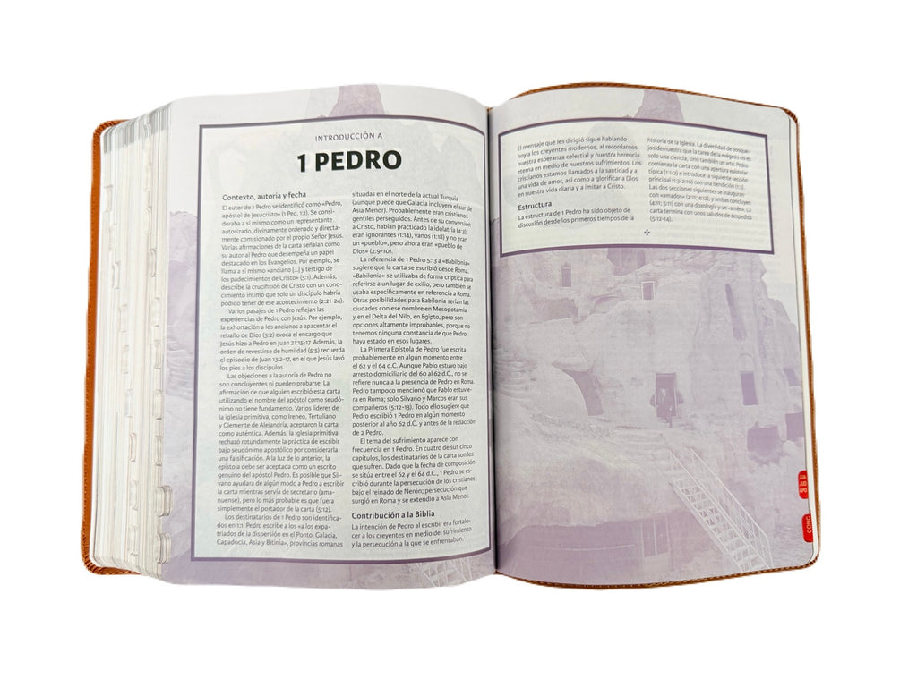Biblia Ilustrada De La Tierra Santa RV1960