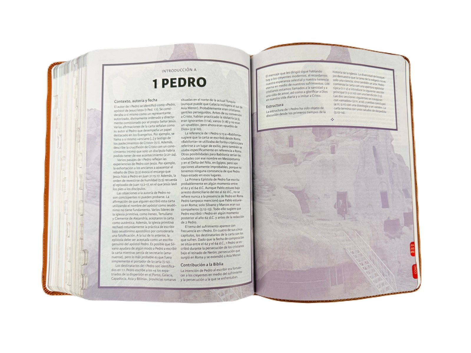 Biblia Ilustrada De La Tierra Santa RV1960