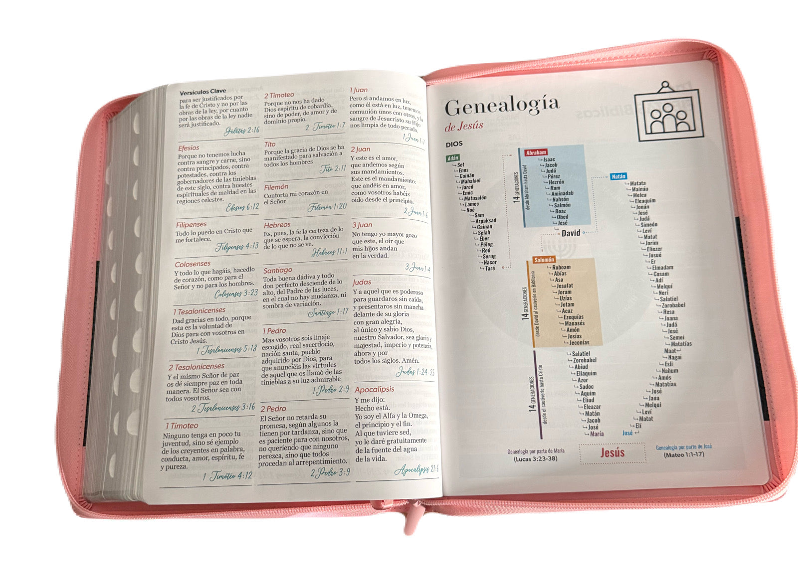 Biblias Letra Super Gigante 19Pts Con Cierre/Indice Classic Rosa/Cafe RV1960