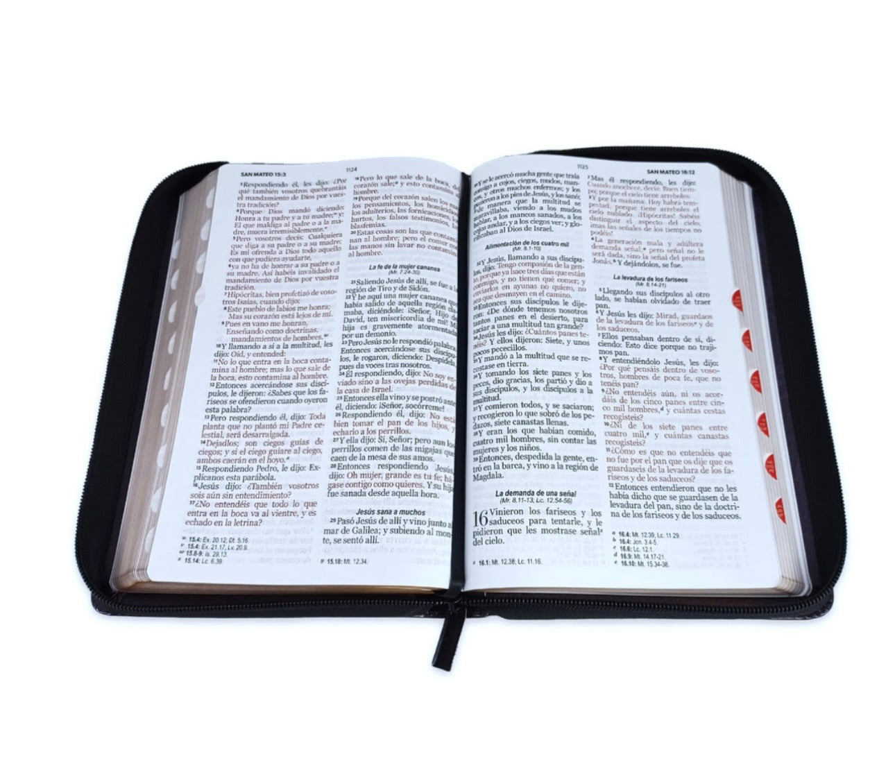 Biblia Letra Grande 12pts Con Cierre/Index RV1960 PJR Léon