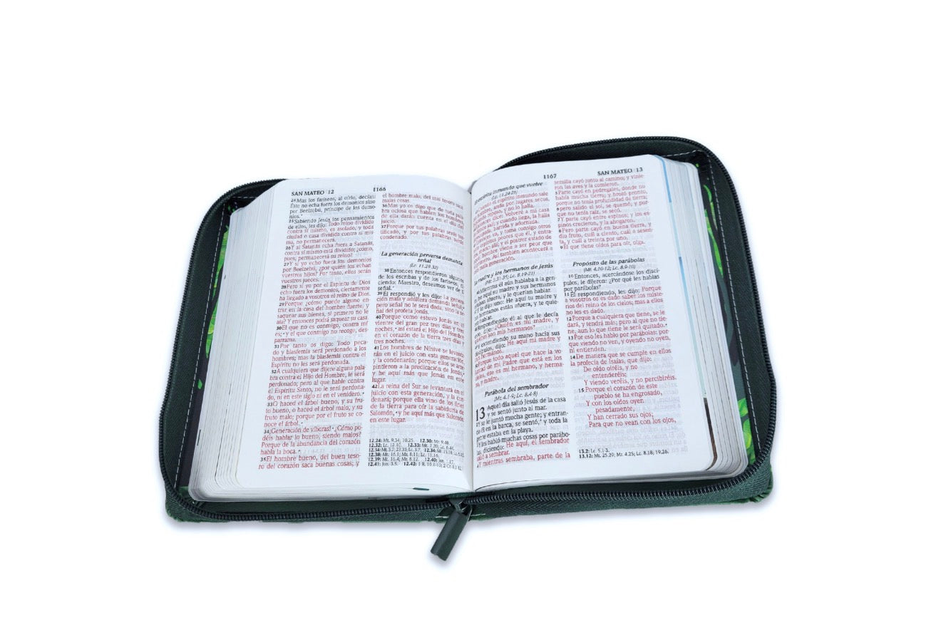 Biblia Compacta con Cierre para Niños RV1960 imit piel arca