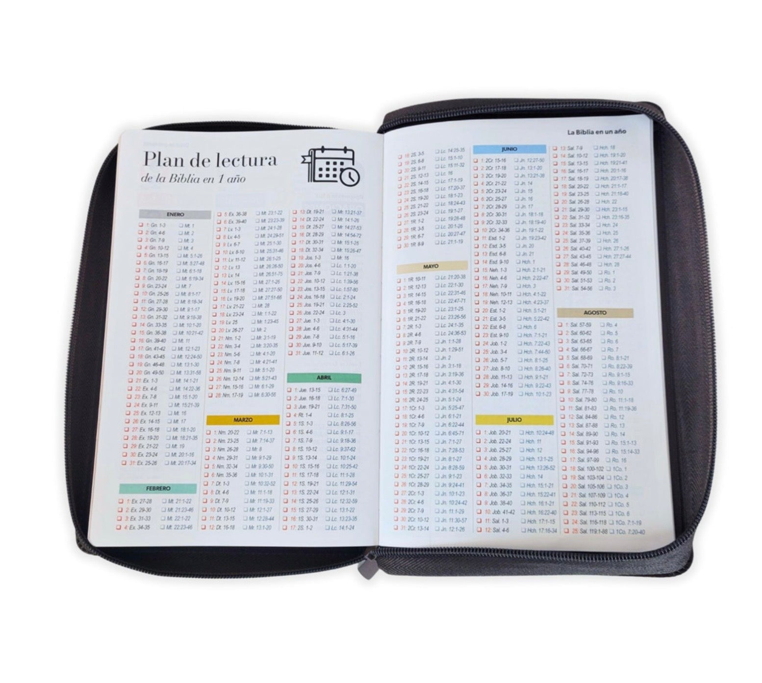 Biblia Letra Gigante 14pts Con Cierre/Index RV1960 Arca De La Alianza