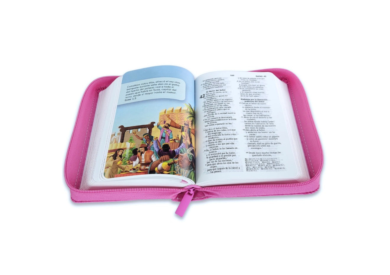 Biblia Compacta con Cierre para Niñas RV2020 imit piel rosa niña con Jesús