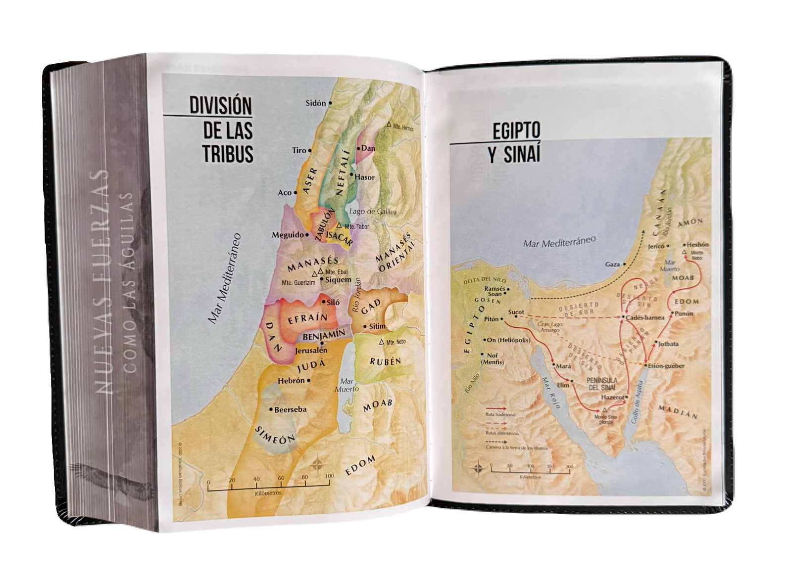 Biblia Letra Súper Gigante 19pts Nuevas Fuerzas