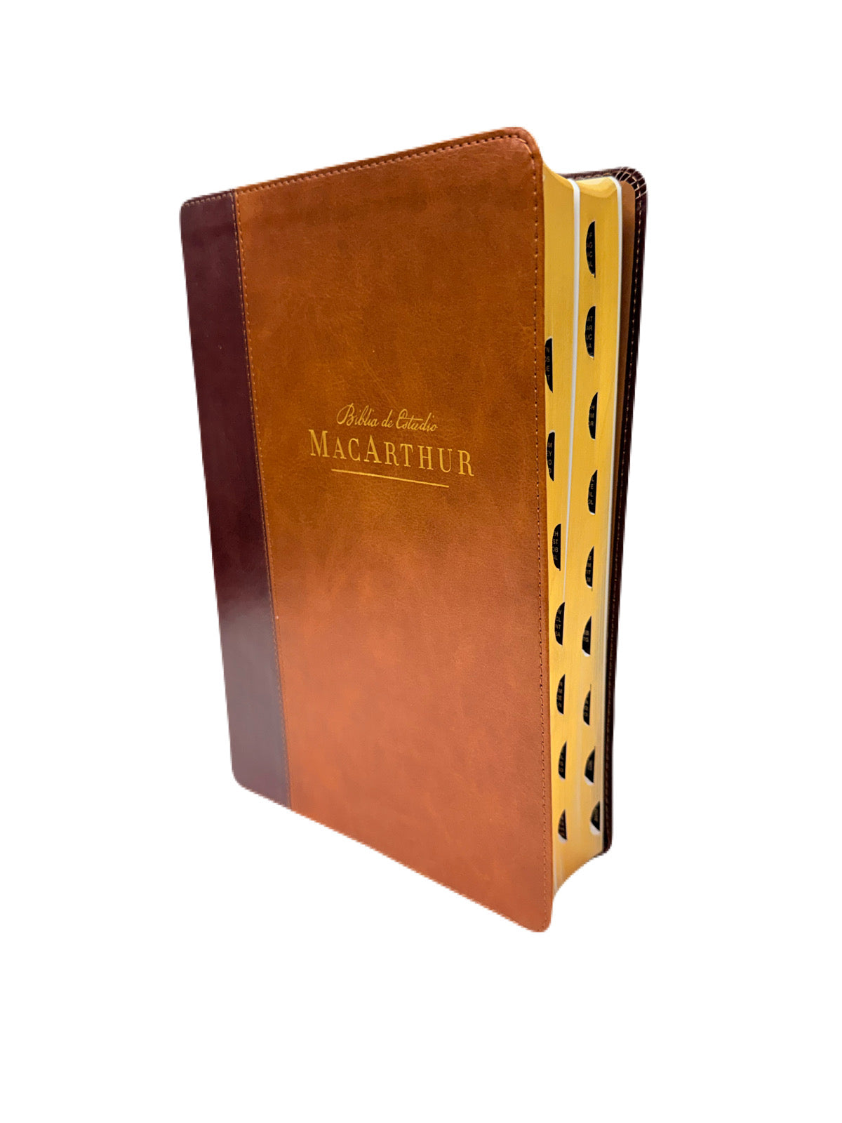 Biblia de Estudio MacArthur NBLA versión de las Américas Café Con Índice