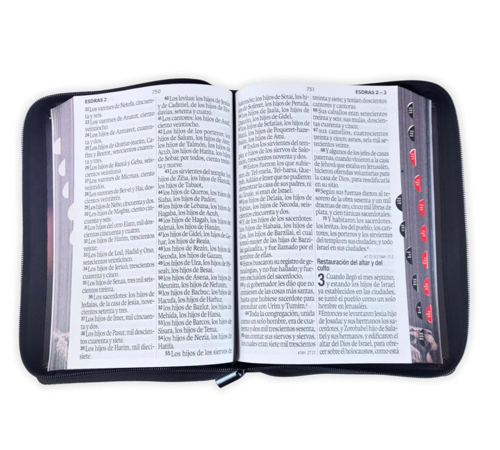 Biblia Letra Súper Gigante 19pts Con Cierre/Index Léon De Judá RV1960