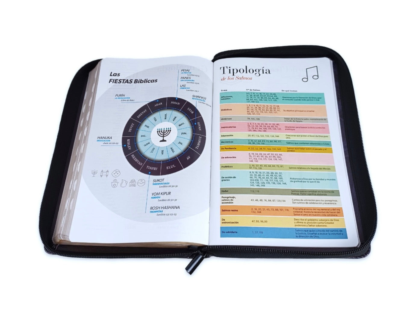 Biblia Letra Grande 12pts Con Cierre/Index RV1960 PJR Léon