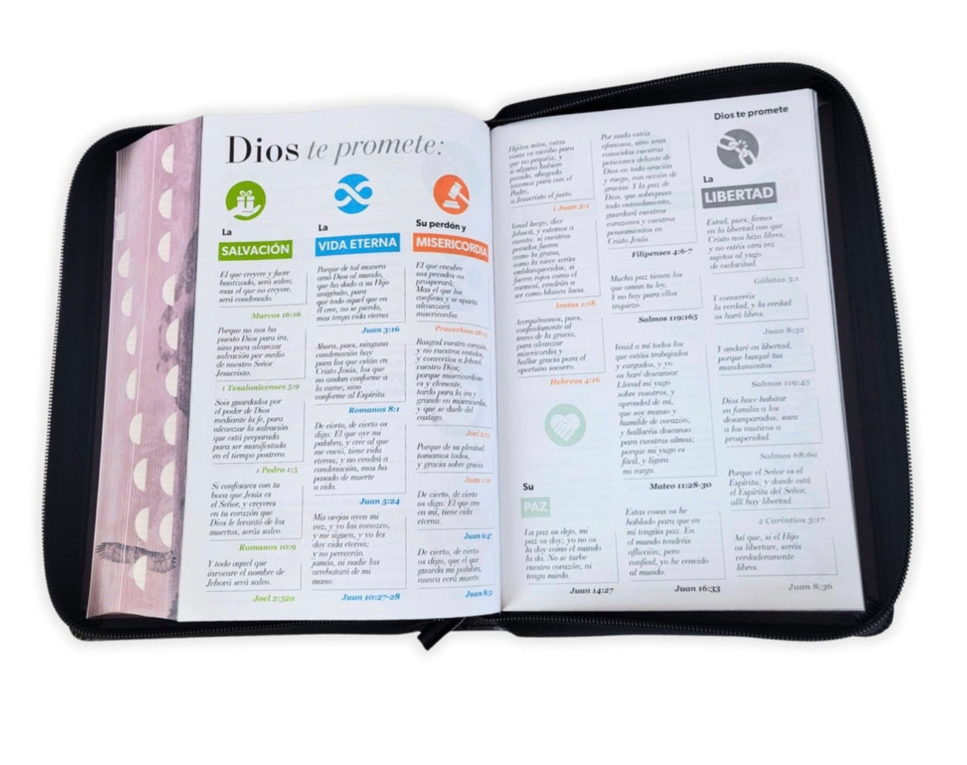 Biblia Letra Súper Gigante 19pts Con Cierre/Index Nuevas Fuerzas RV1960