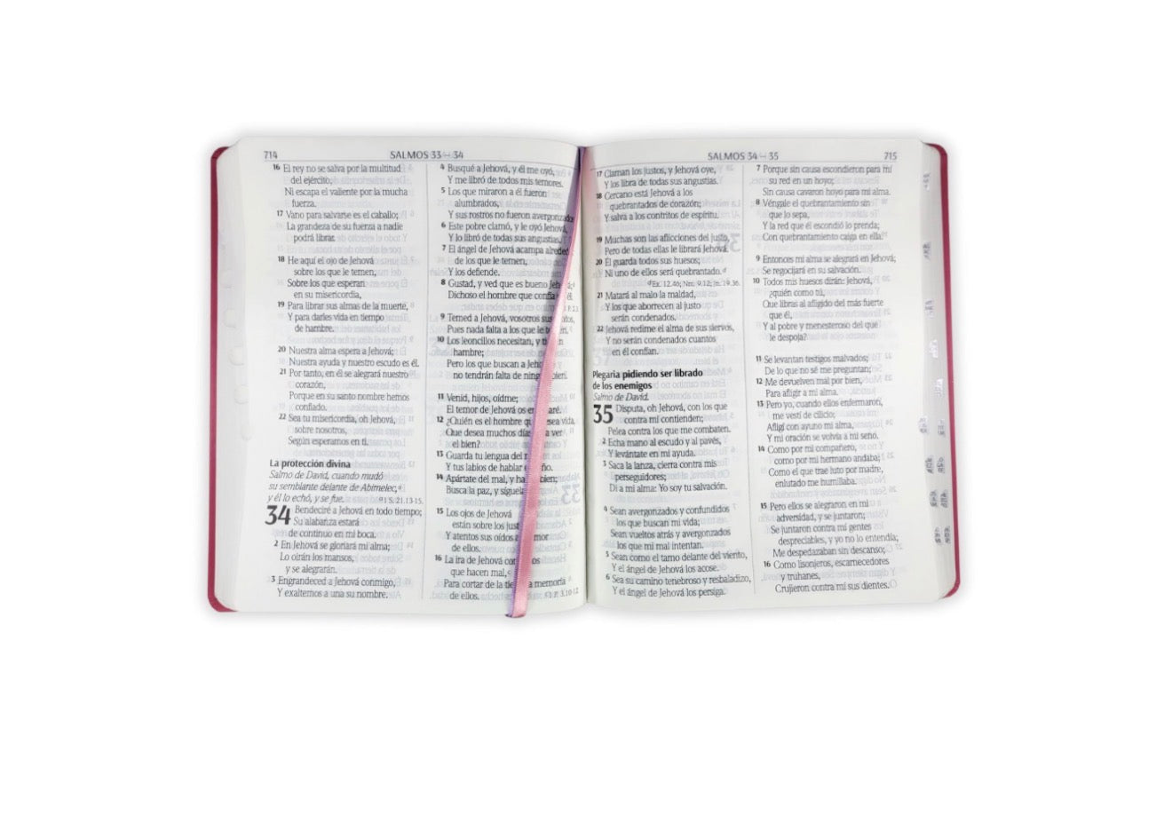 Biblia Letra Supergigante 18 puntos RV1960 imit piel fucsia con índice