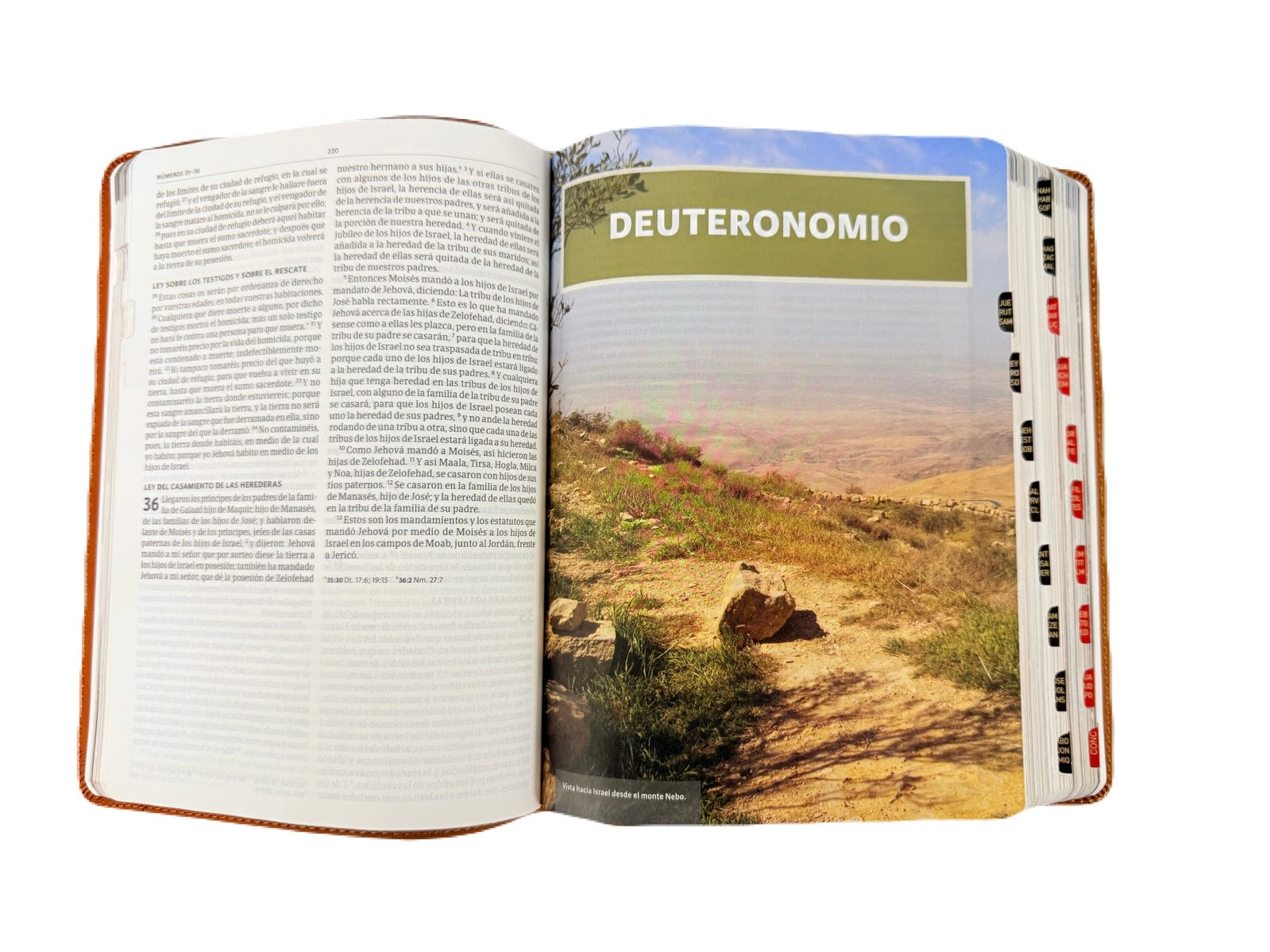 Biblia Ilustrada De La Tierra Santa RV1960