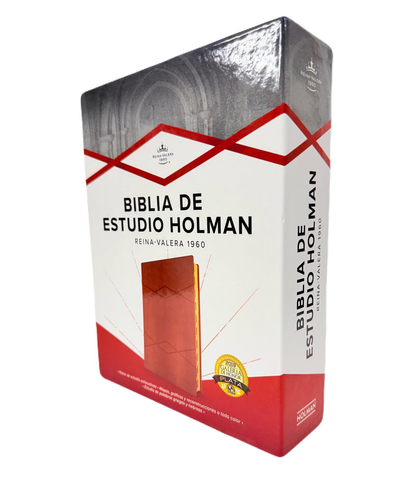Biblia De Estudio Holman RV1960