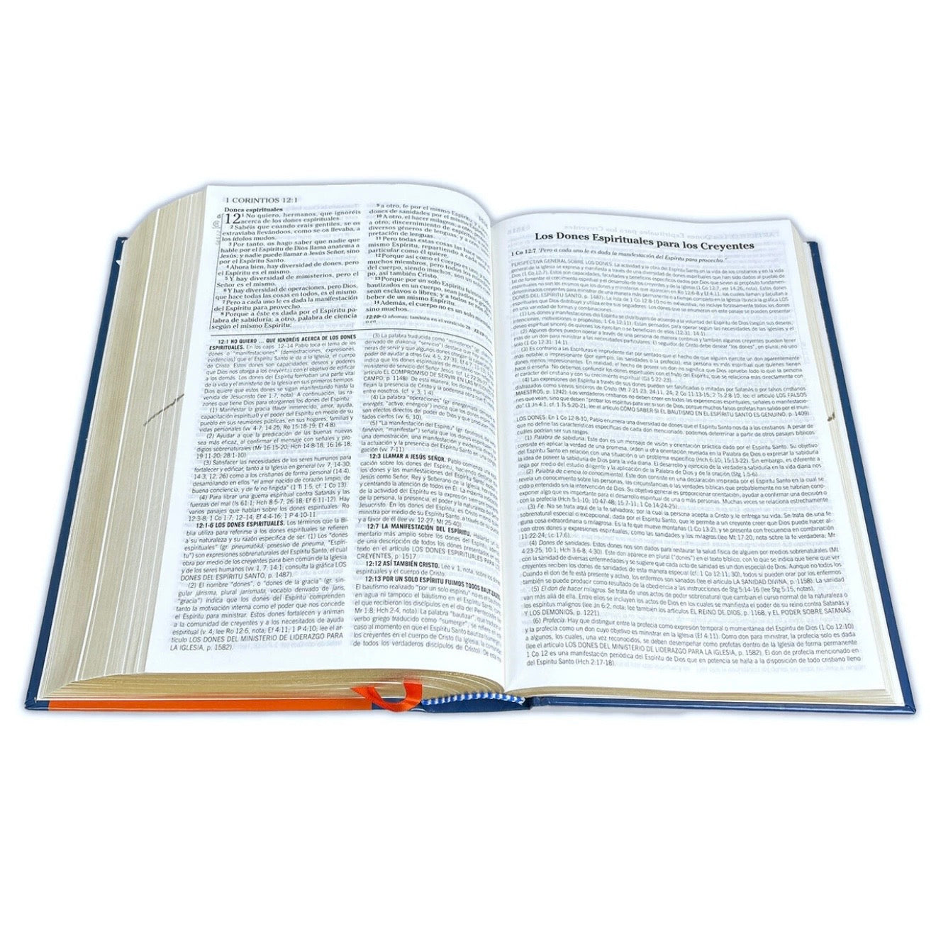 Biblia de Estudio de la Vida Plena para Jóvenes RV1960, tapa dura a color