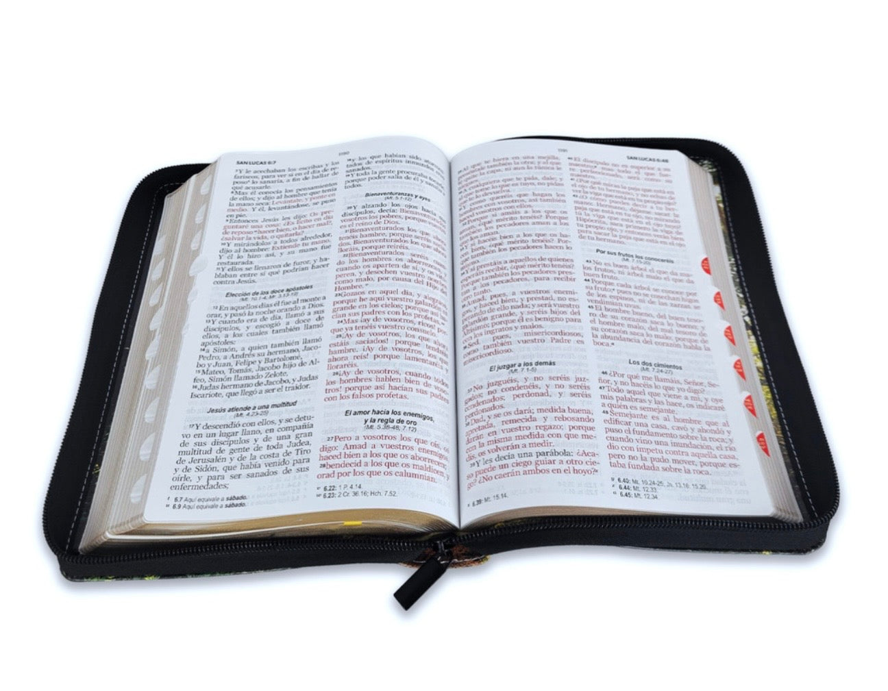 Biblia Letra Grande 12pts Con Cierre/Index RV1960 Bosque Al Amanecer