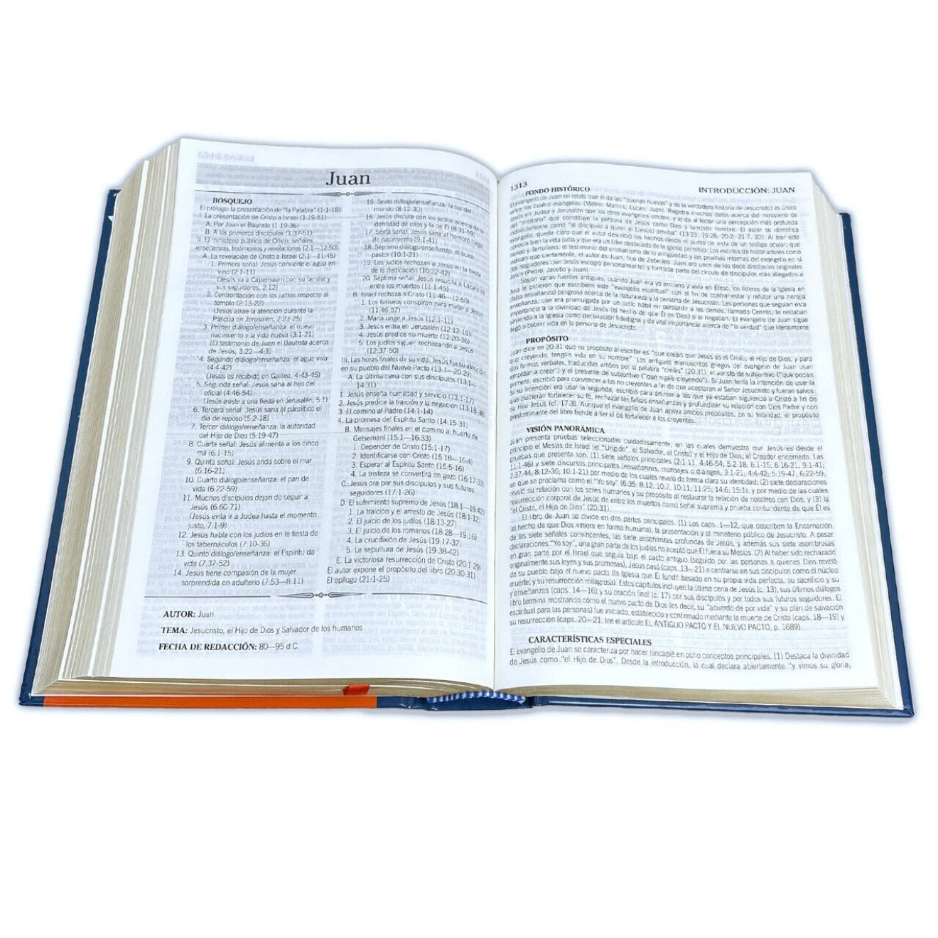 Biblia de Estudio de la Vida Plena para Jóvenes RV1960, tapa dura a color