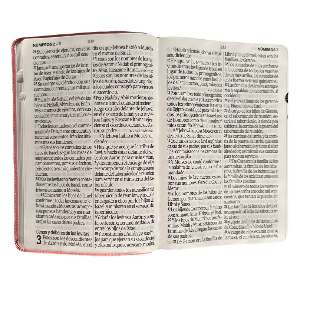 Biblia Letra Súper Gigante 19Pts Con Index Rosa Floral RV1960