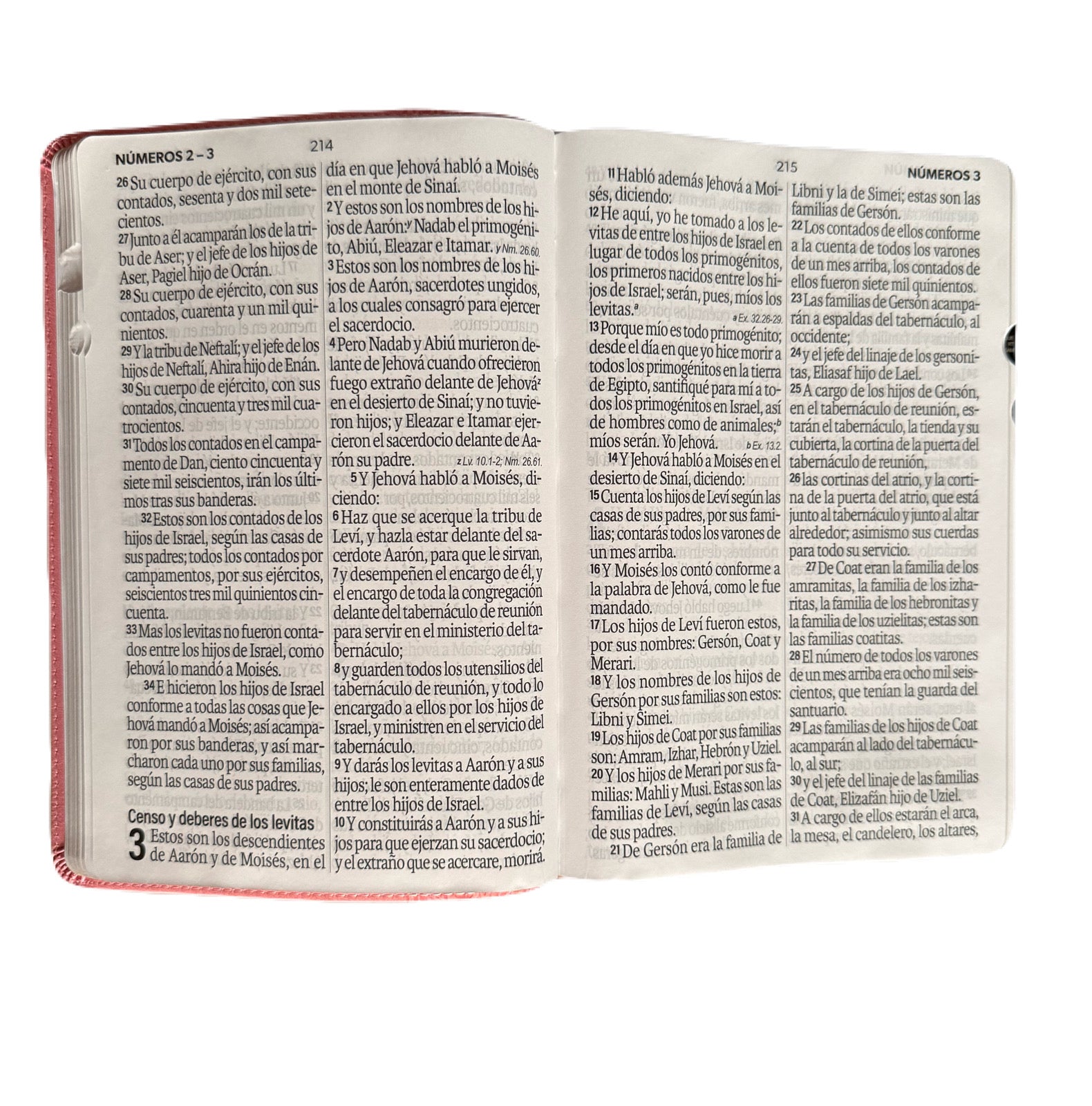 Biblia Letra Súper Gigante 19Pts Con Index Rosa Floral RV1960