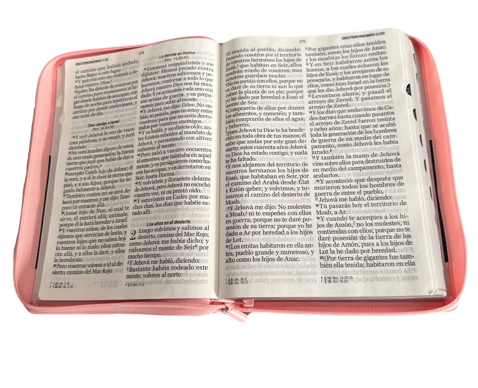 Biblias Letra Super Gigante 19Pts Con Cierre/Indice Classic Rosa/Cafe RV1960