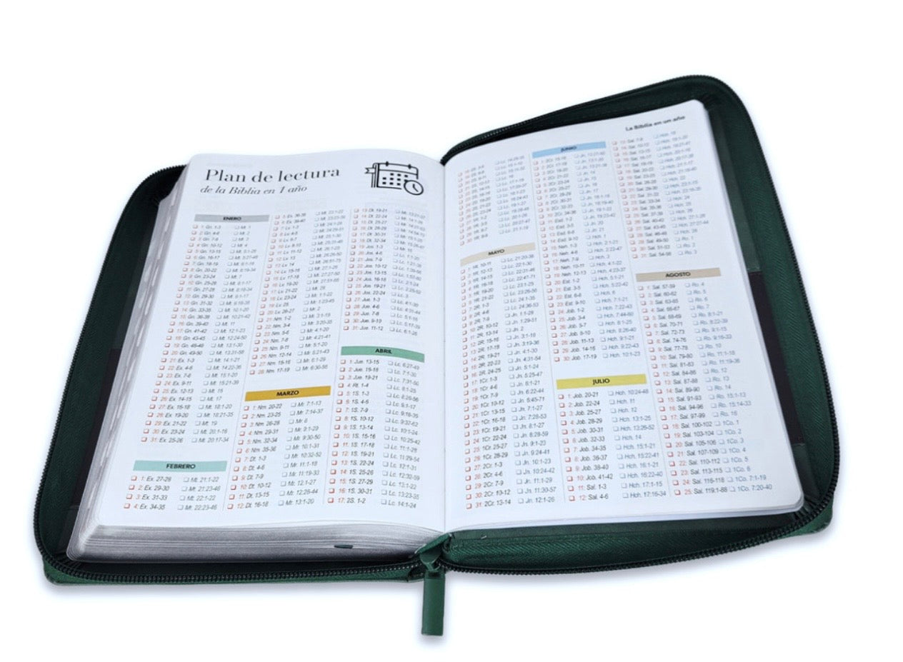 Biblia Letra Grande 12pts Con Cierre/Index RV1960 Verde/Marron Árbol